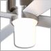 26W Compact Fluorescent
