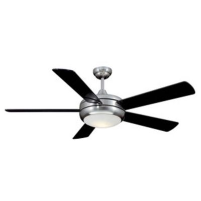Titan Ceiling Fan with Light by Ellington Fan