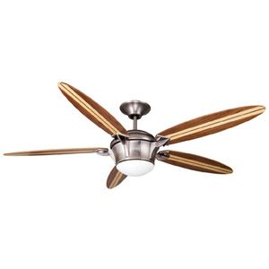 Surfboard Ceiling Fan with Light by Ellington Fan