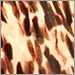 Amazon Frit