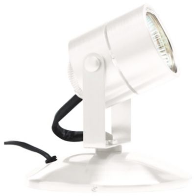 Lil Big Wonder Accent Lamp by Tech Lighting