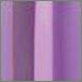 Parma Violet