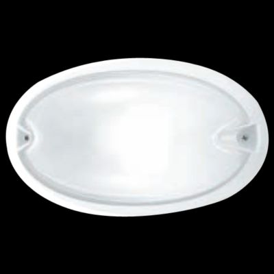 Chip Oval 30 Outdoor Wall Sconce by LBL Lighting