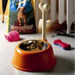 Pet Accessories