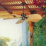 Outdoor Fans