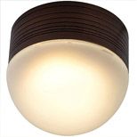 Casual & Functional Outdoor Flushmounts