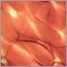Amber Frit