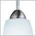 Brushed Nickel
