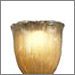 Tulip with Rippled Rim