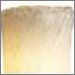 Whitewash