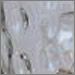 Water Glass