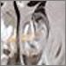 Water Glass