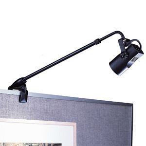 Display Light DL-007 by WAC Lighting