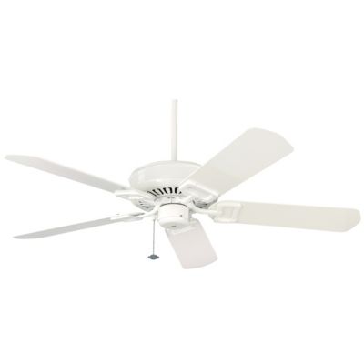 Edgewood Wet Ceiling Fan by Fanimation