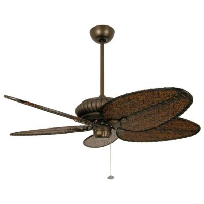 Belleria Ceiling Fan by Fanimation