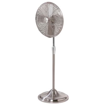 Century Floor Fan by Hunter Fans