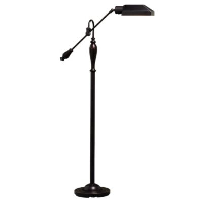 Bronze Adjustable Energy Efficient Floor Lamp by Kichler
