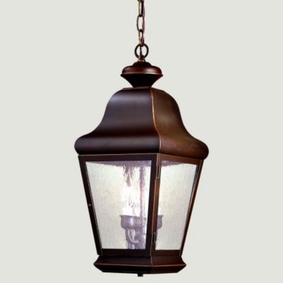 Carlton Outdoor Pendant by Troy Lighting