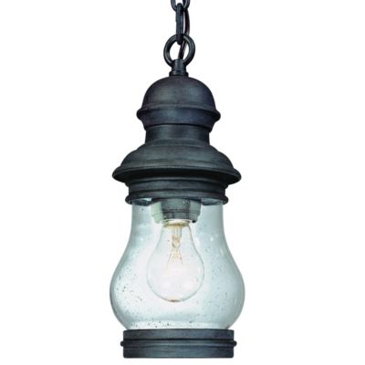 Hyannis Port Small Outdoor Pendant Lantern by Troy Lighting