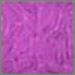 Purple Optical