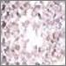 Rosaline
