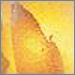 Gold-Leaf