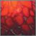 Deep Cherry Red
