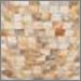 Pen Shell Mosaic