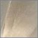 Steel Mesh