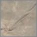 Steel Mesh