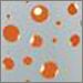 White with Orange