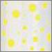White with Yellow