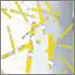 White with Yellow Green