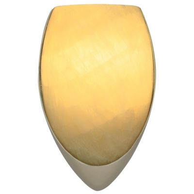 Fire Onyx Wall Sconce by Tech Lighting