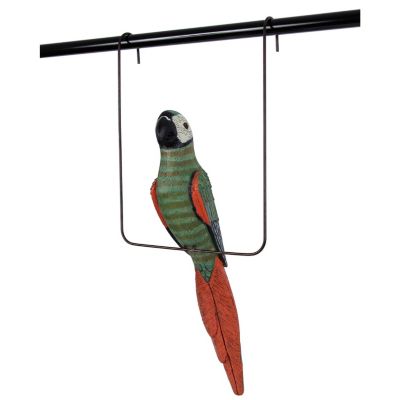 Parrot and Perch by Fanimation