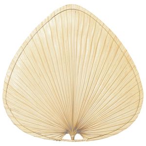 Caruso 18" Natural Palm Leaf Wide Oval Blade Set by Fanimation