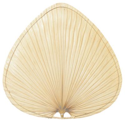 Palisade 18" Natural Palm Leaf Wide Oval Blade Set by Fanimation