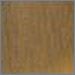 Bronze Umber