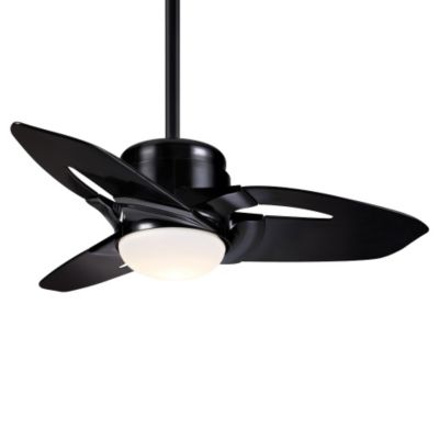 Starlet Ceiling Fan by Casablanca