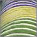 Turchese Multicolor