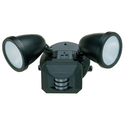 Ariel Motion Detector Spotlight by Access