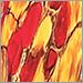 Amber-Red