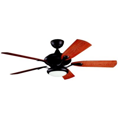 Aldrin Patio Outdoor/Indoor Ceiling Fan by Kichler
