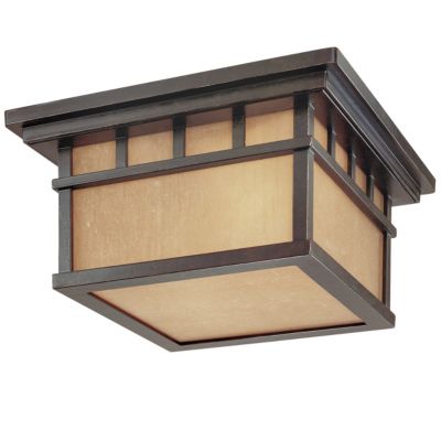 Barton Outdoor Flushmount by Dolan Designs
