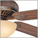 Parisian Bronze with Beechwood-Walnut and Cream Textured