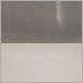 Brushed Steel with White Opal