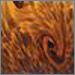Brown Swirl
