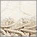 White with Beige Trim
