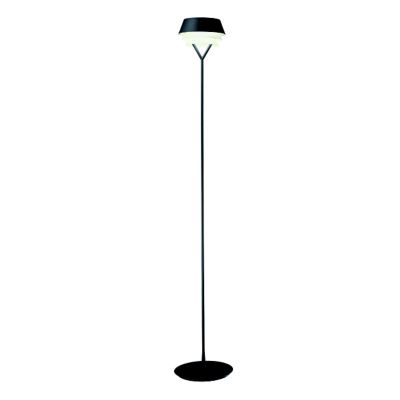 Gala Floor Lamp by Carpyen