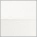 White with White